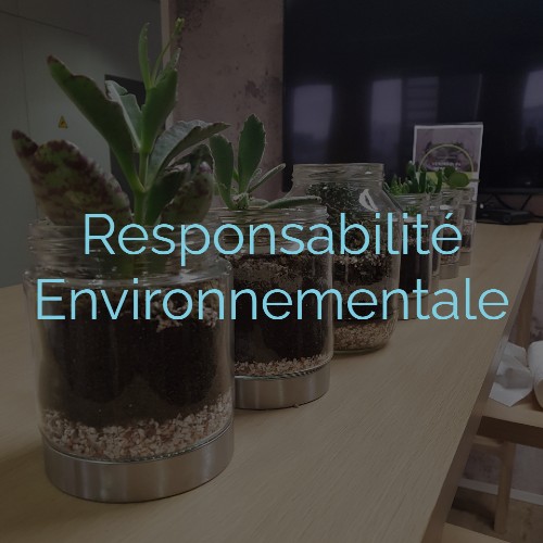 Responsabilité environnementale